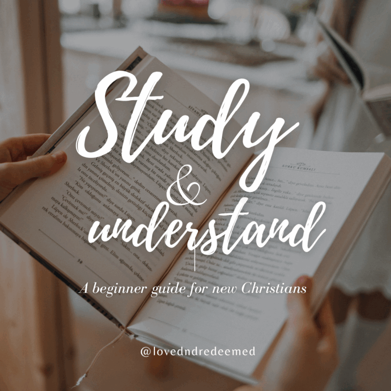 how to study the bible for beginners