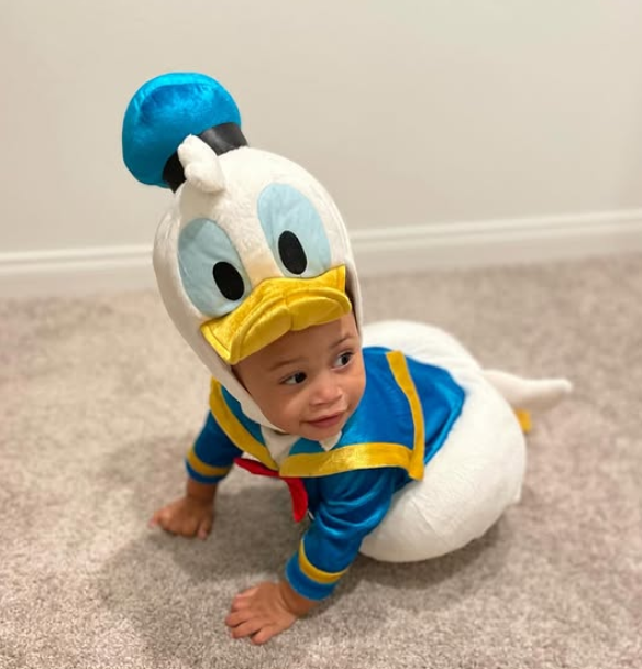donald duck costume 